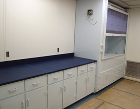 Case Work 3