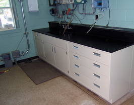 Case Work 4